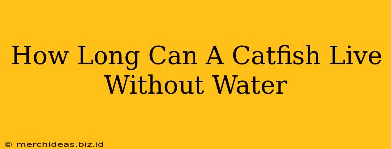 How Long Can A Catfish Live Without Water