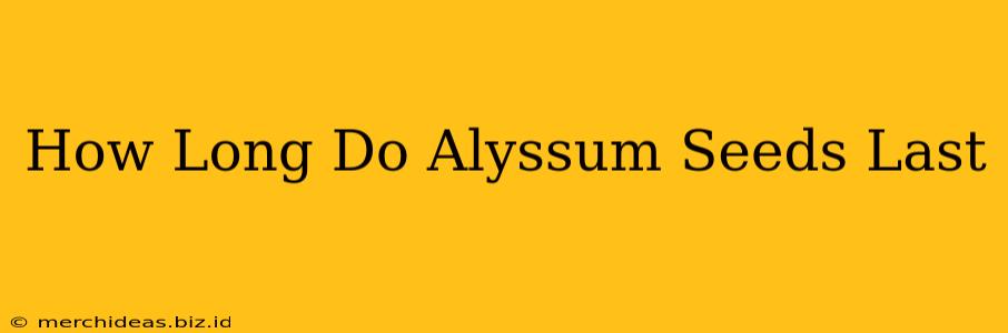 How Long Do Alyssum Seeds Last