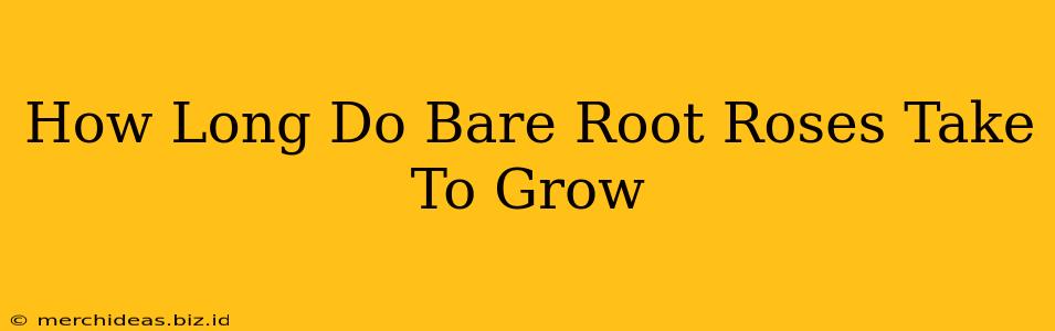 How Long Do Bare Root Roses Take To Grow