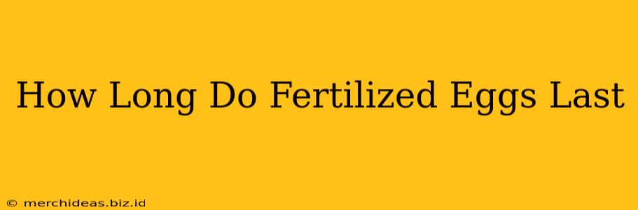 How Long Do Fertilized Eggs Last