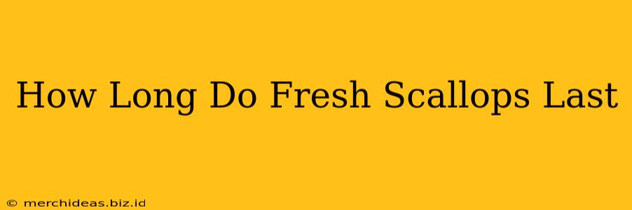 How Long Do Fresh Scallops Last