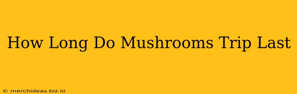 How Long Do Mushrooms Trip Last