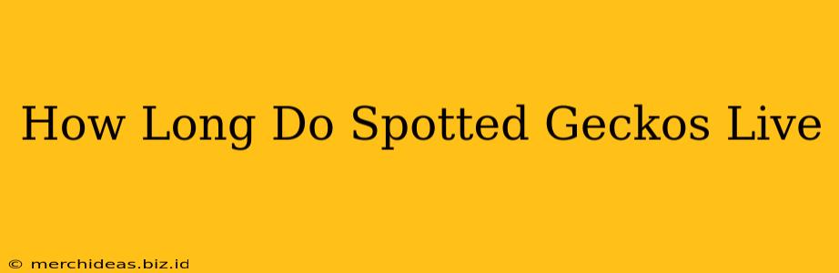 How Long Do Spotted Geckos Live