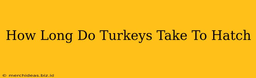 How Long Do Turkeys Take To Hatch