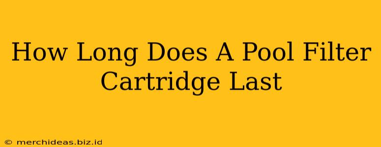 How Long Does A Pool Filter Cartridge Last