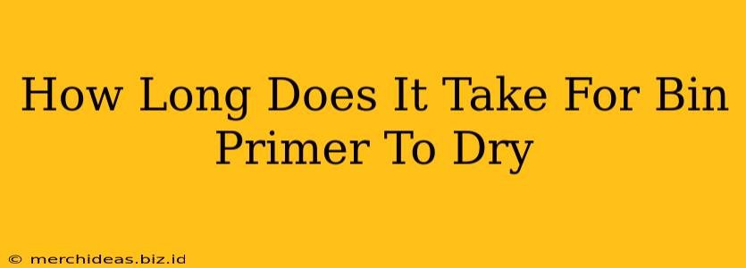 How Long Does It Take For Bin Primer To Dry