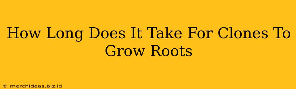 How Long Does It Take For Clones To Grow Roots