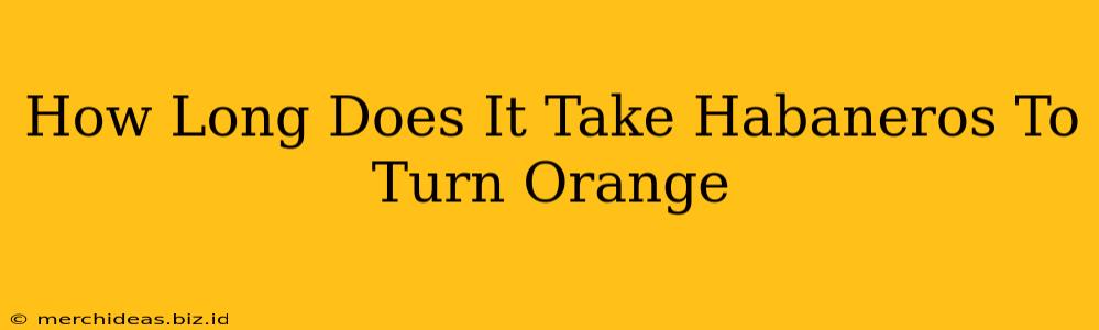 How Long Does It Take Habaneros To Turn Orange