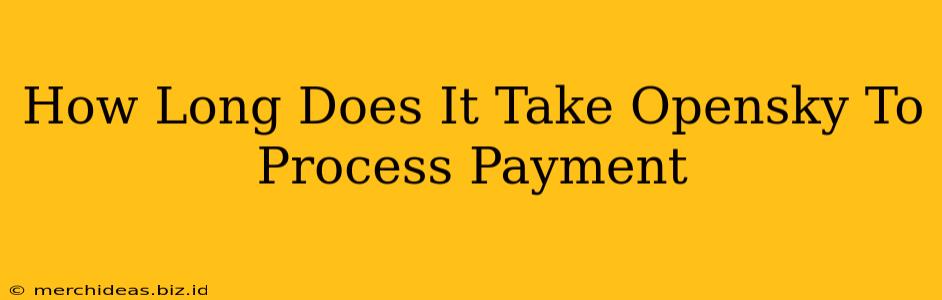 How Long Does It Take Opensky To Process Payment