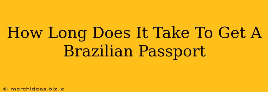 How Long Does It Take To Get A Brazilian Passport