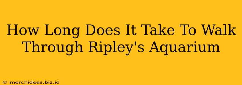 How Long Does It Take To Walk Through Ripley's Aquarium
