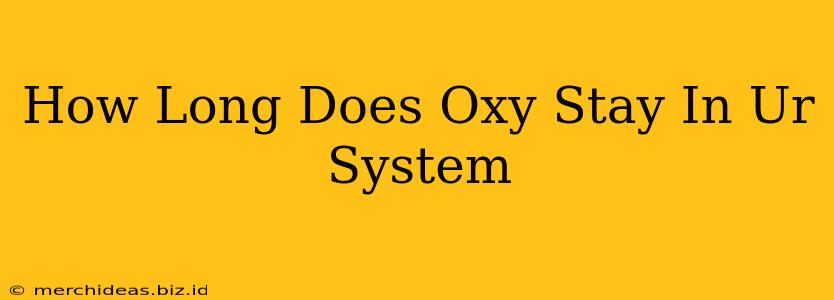 How Long Does Oxy Stay In Ur System