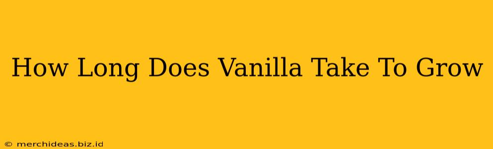 How Long Does Vanilla Take To Grow