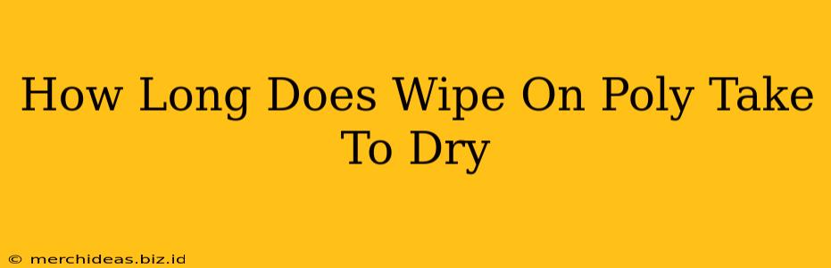 How Long Does Wipe On Poly Take To Dry