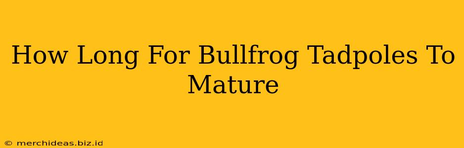 How Long For Bullfrog Tadpoles To Mature