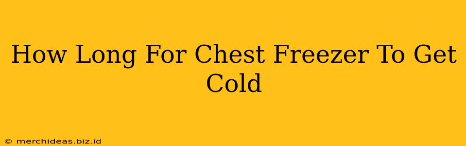 How Long For Chest Freezer To Get Cold