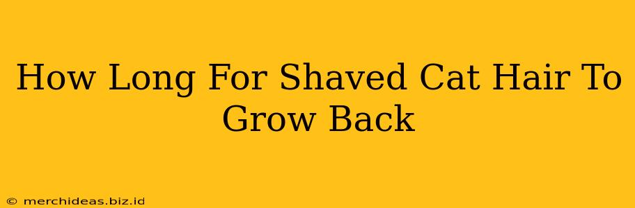 How Long For Shaved Cat Hair To Grow Back