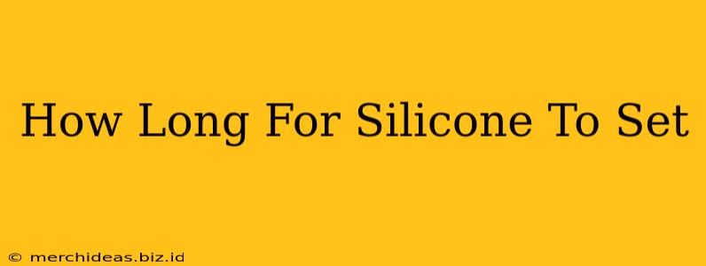 How Long For Silicone To Set