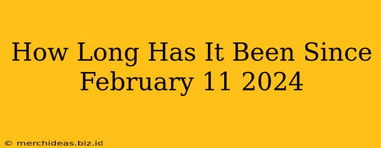 How Long Has It Been Since February 11 2024