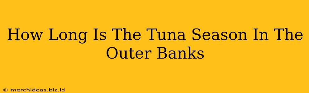 How Long Is The Tuna Season In The Outer Banks