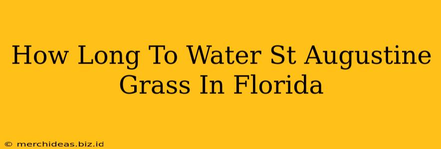 How Long To Water St Augustine Grass In Florida
