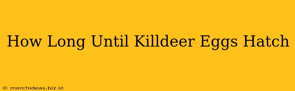 How Long Until Killdeer Eggs Hatch