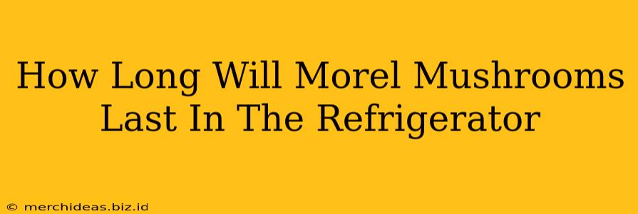 How Long Will Morel Mushrooms Last In The Refrigerator