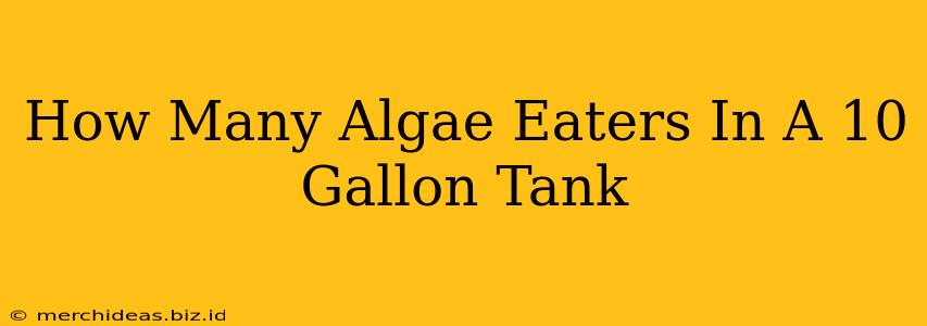 How Many Algae Eaters In A 10 Gallon Tank