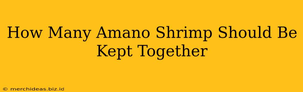 How Many Amano Shrimp Should Be Kept Together