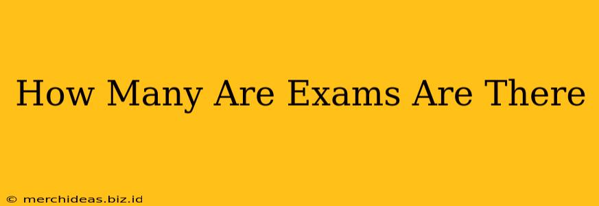 How Many Are Exams Are There
