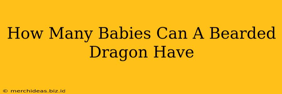 How Many Babies Can A Bearded Dragon Have