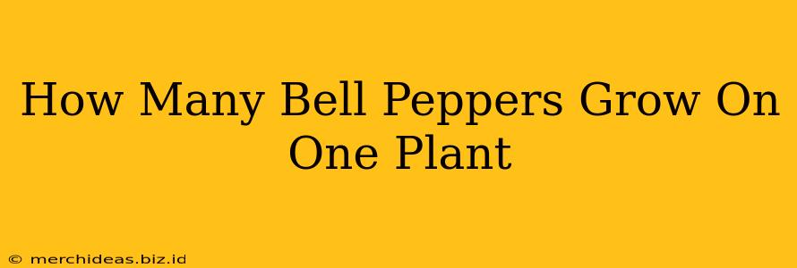 How Many Bell Peppers Grow On One Plant