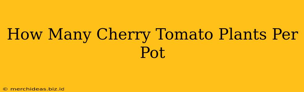 How Many Cherry Tomato Plants Per Pot