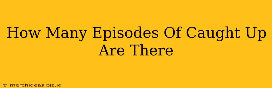 How Many Episodes Of Caught Up Are There