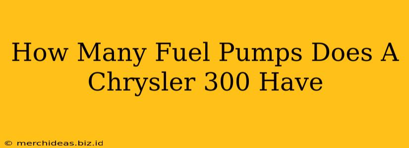 How Many Fuel Pumps Does A Chrysler 300 Have
