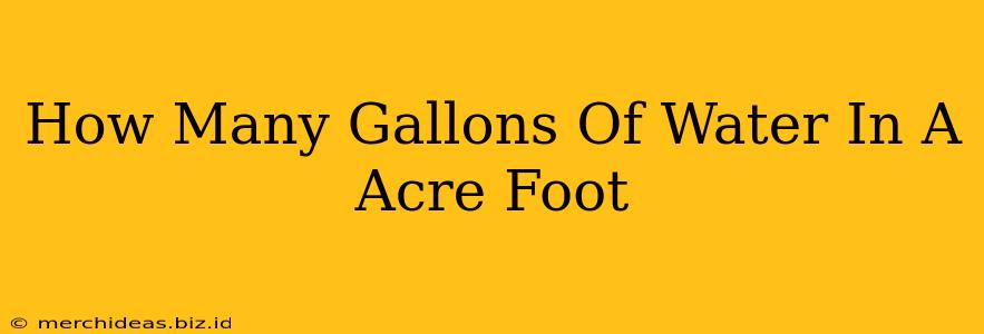 How Many Gallons Of Water In A Acre Foot