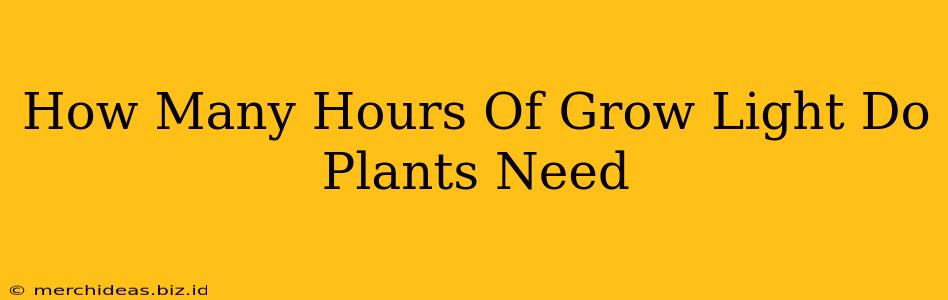 How Many Hours Of Grow Light Do Plants Need