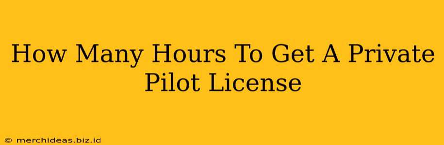 How Many Hours To Get A Private Pilot License