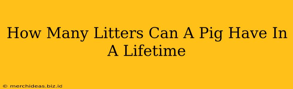 How Many Litters Can A Pig Have In A Lifetime