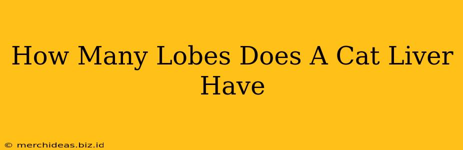 How Many Lobes Does A Cat Liver Have