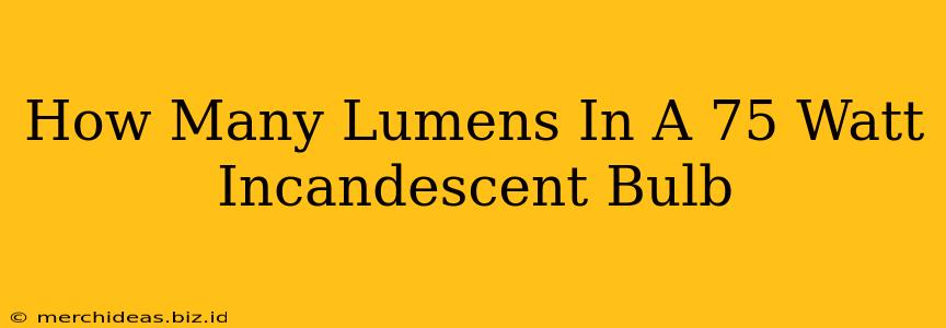 How Many Lumens In A 75 Watt Incandescent Bulb