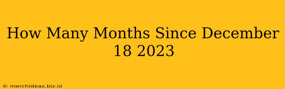 How Many Months Since December 18 2023