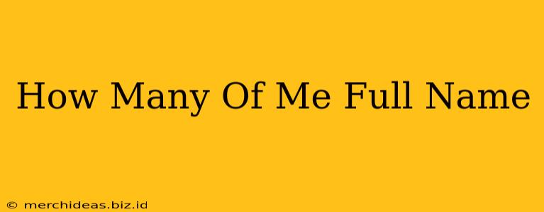 How Many Of Me Full Name