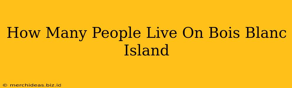 How Many People Live On Bois Blanc Island