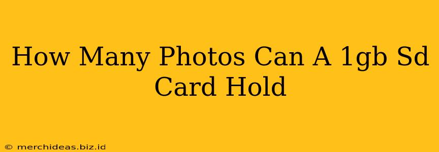 How Many Photos Can A 1gb Sd Card Hold