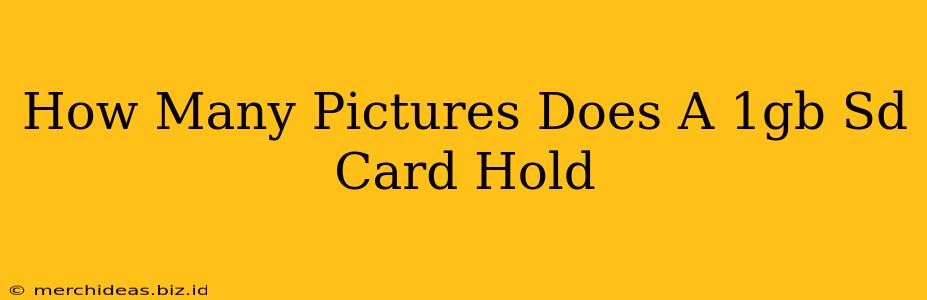 How Many Pictures Does A 1gb Sd Card Hold
