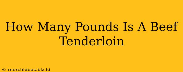How Many Pounds Is A Beef Tenderloin
