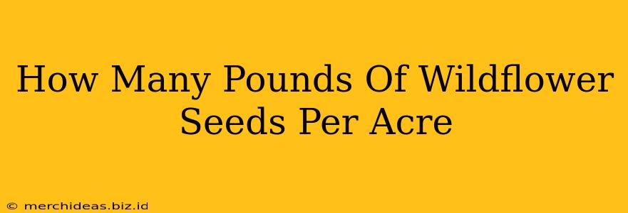 How Many Pounds Of Wildflower Seeds Per Acre