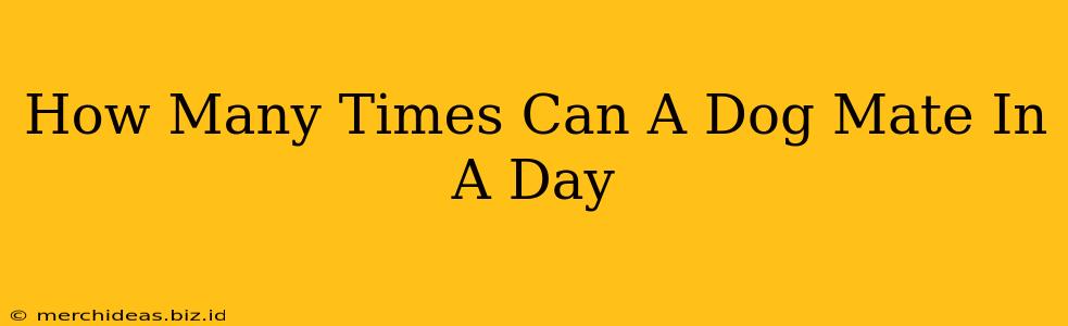 How Many Times Can A Dog Mate In A Day