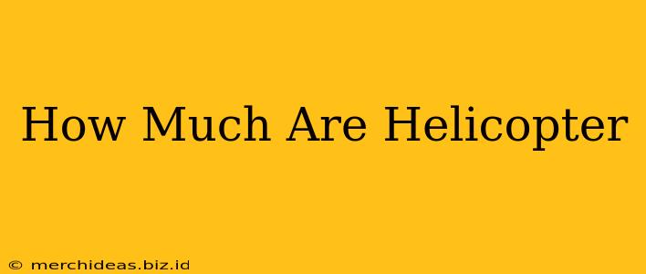 How Much Are Helicopter